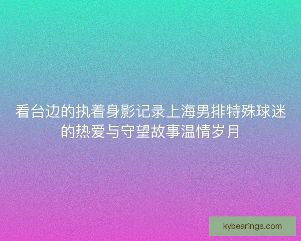 看台边的执着身影记录上海男排特殊球迷的热爱与守望故事温情岁月